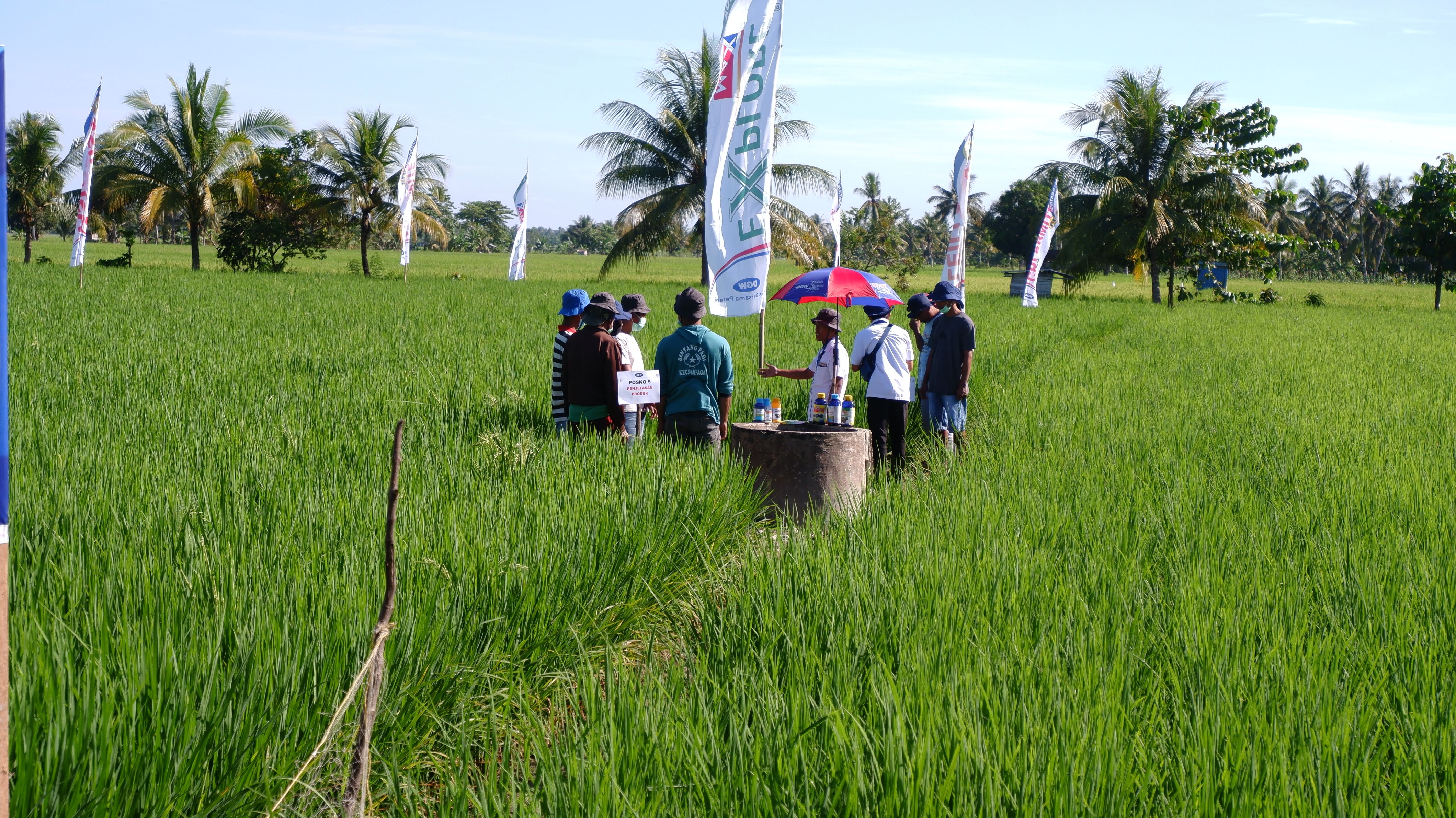 agrofair mamuju1.JPG